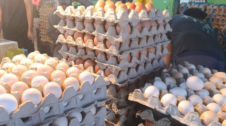 Harga Telur, Bawang, Cabai di Segiri Kompak Naik Menjelang Ramadan